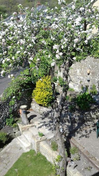 Victoria Boutique Lodge 'Stan" Sea View And Garden Apartment Ventnor Εξωτερικό φωτογραφία
