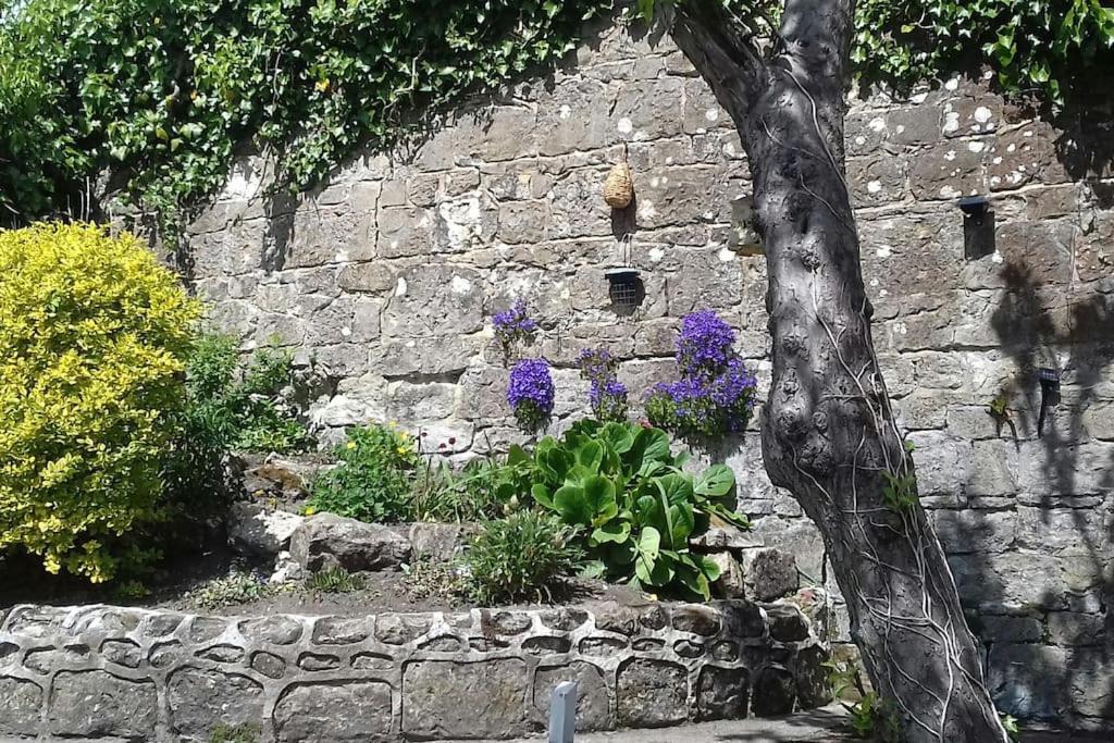 Victoria Boutique Lodge 'Stan" Sea View And Garden Apartment Ventnor Εξωτερικό φωτογραφία